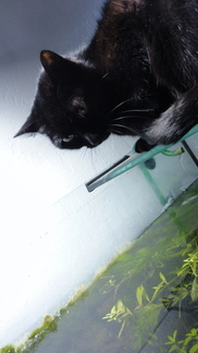 20100512 203211